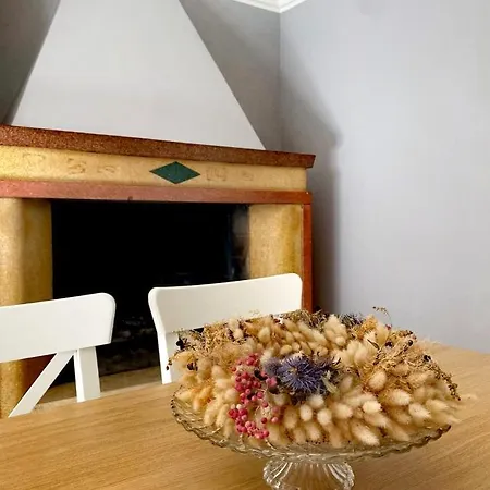 Il Balcone Di Garofani Holiday home